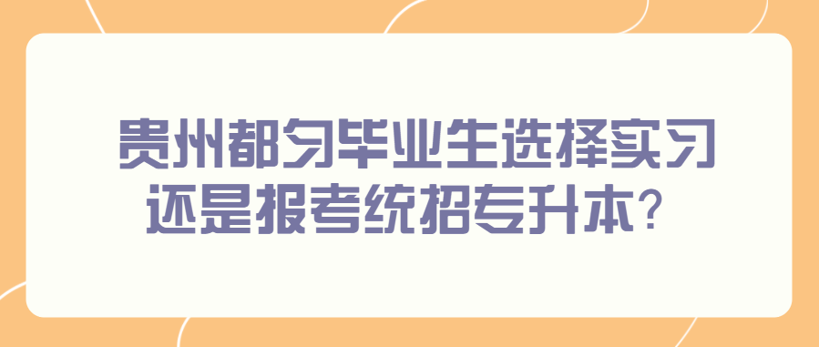 贵州都匀毕业生选择实习还是报考统招专升本？